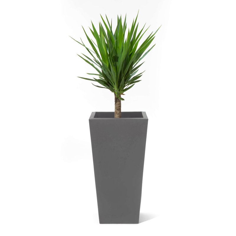 Pot Planter, Grey