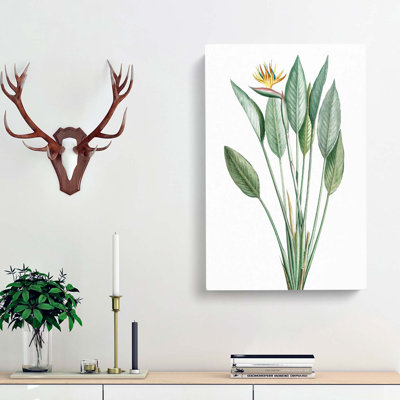 Bird Of Paradise Flower by Pierre-Joseph Redoute - Wrapped Canvas Painting