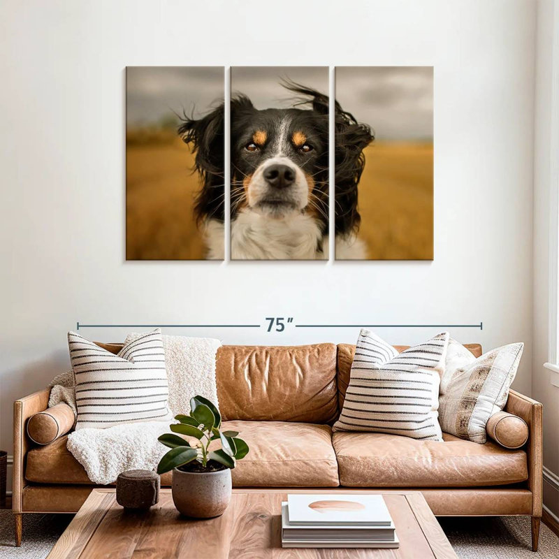 Brampt Expressive Border Collie, 36" H x 57" W