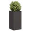 Planter Box-1757545733-1757545732