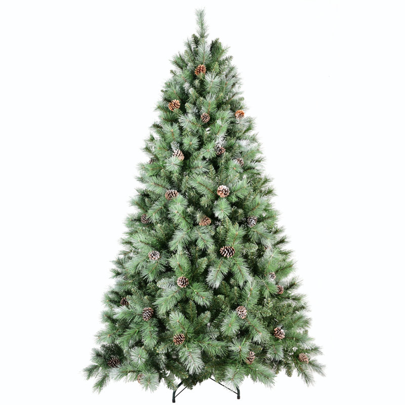 Arbre de Noël 7 pi Scotch Pine