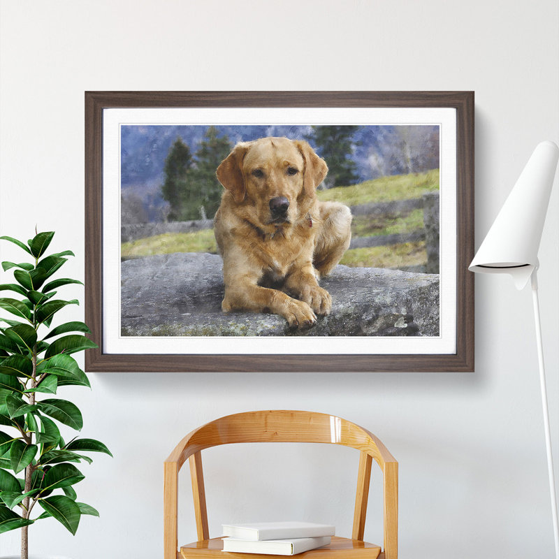 Golden Labrador Dog Vol.2 - Picture Frame Painting, 36cm H x 48cm W x 2cm D, Walnut Framed