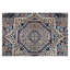 Aryana Wool Oriental Area Rug