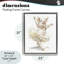 Cadre flottant Ballet Pig Tutu, design par Ziwei Li-1188705508-1188705510