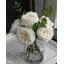 Plante de 13 po-103117141