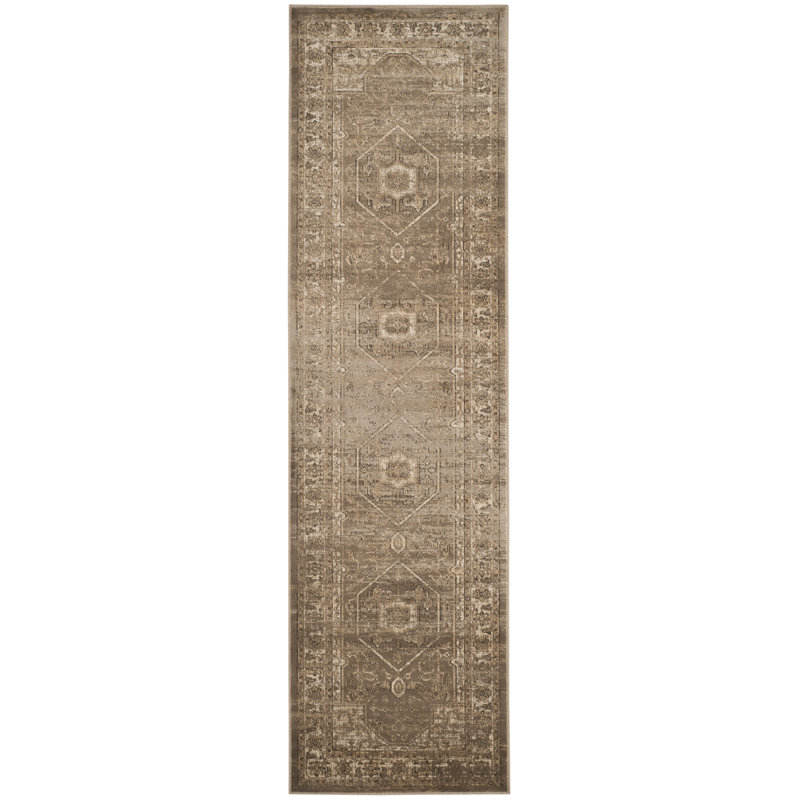 Drinkard Oriental Hand Woven Area Rug, Rectangle 66 x 244 cm