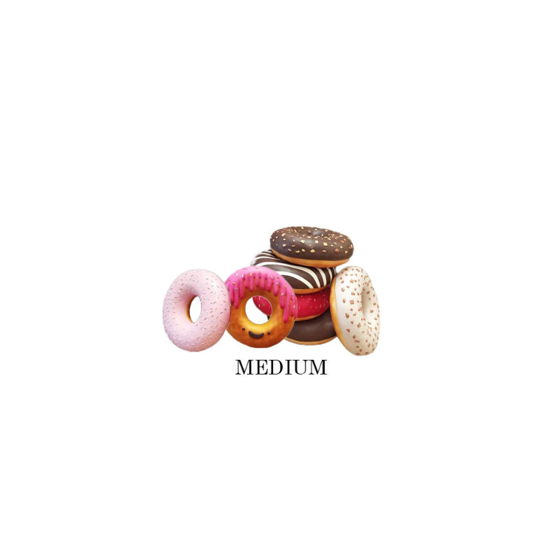 Medium Donut Set Over Sized Statue