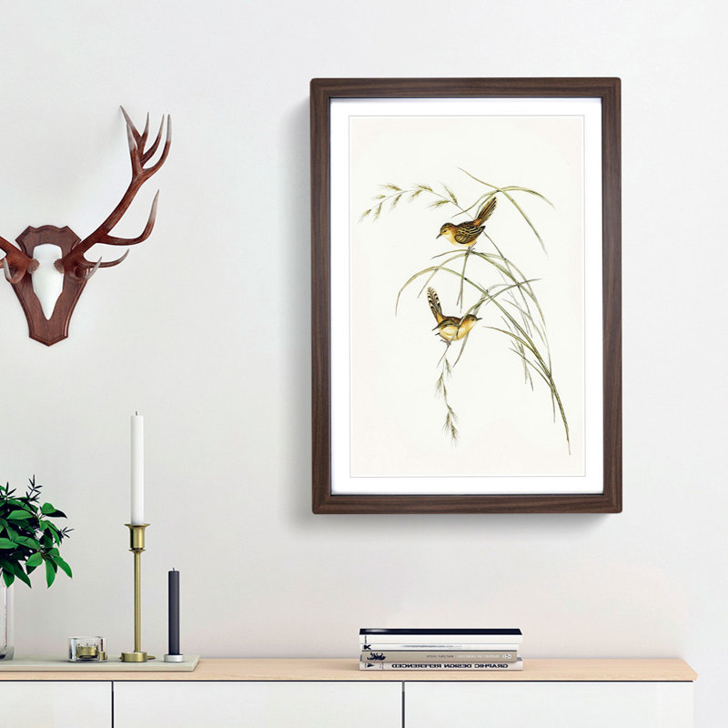 Exile Warbler by Elizabeth Gould - Picture Frame Painting Print, Walnut Framed, 36cm H x 27cm W x 2cm D