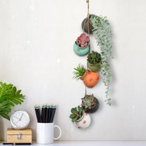 Wayfair  Ceramic Planters You'll Love in 2024