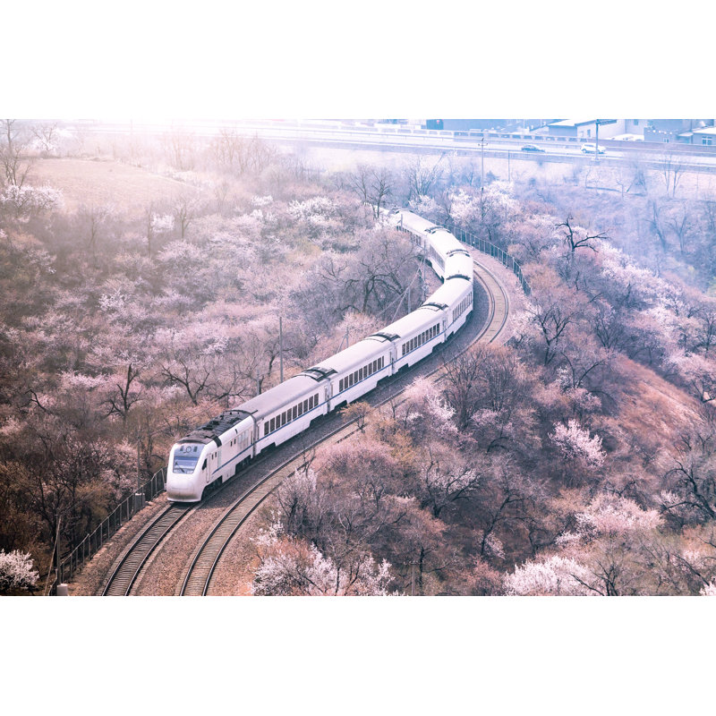 Train et arbres sakura par Dk1234, H 24 po x l 36 po