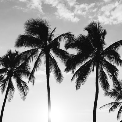 «Hawaiian Palms II», impression sur toile tendue