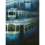 «Rail Train Stand in Kolkata», peinture acrylique sur toile par Payel Mitra