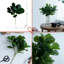 Collection Home Decor