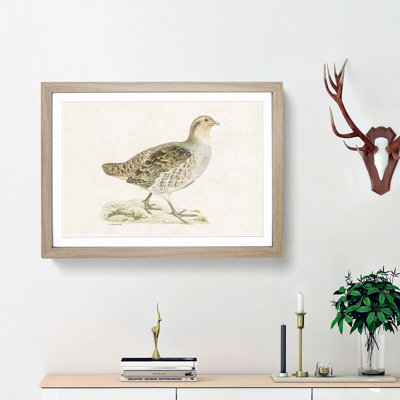 Grey Partridge by Von Wright - Picture Frame Painting Print