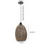 Silenus 1 - Light Dome Pendant