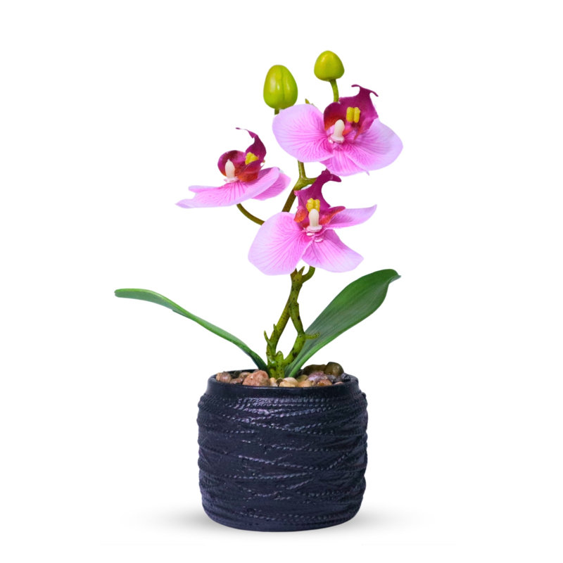 Petite plante artificielle orchidée rose d'intérieur, 9 pouces, 3 cm, Rose, Noir
