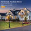 3-Head Dusk to Dawn Lamp Posts (Full)