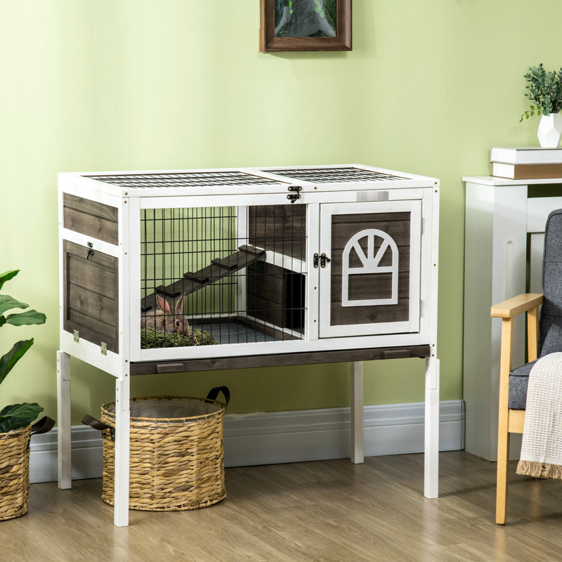 Cage à cochon d'Inde d'intérieur avec cage de couloir d'intérieur