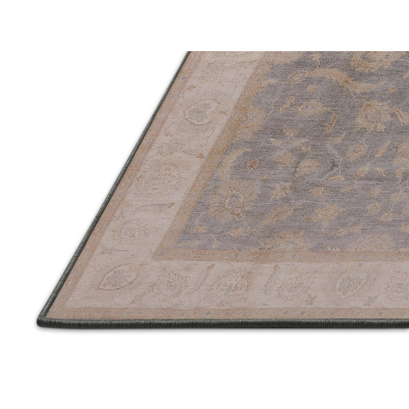Chelan Oriental Indoor Rug, Rectangle 5' x 8'