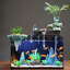 Aquarium en verre-1038129503