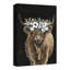Impression sur toile Highland Cow Portrait-604474846