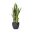 Plante artificielle en pot 27 po