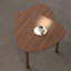 Table basse rotative avec pieds en bois d'hévéa massif-355482