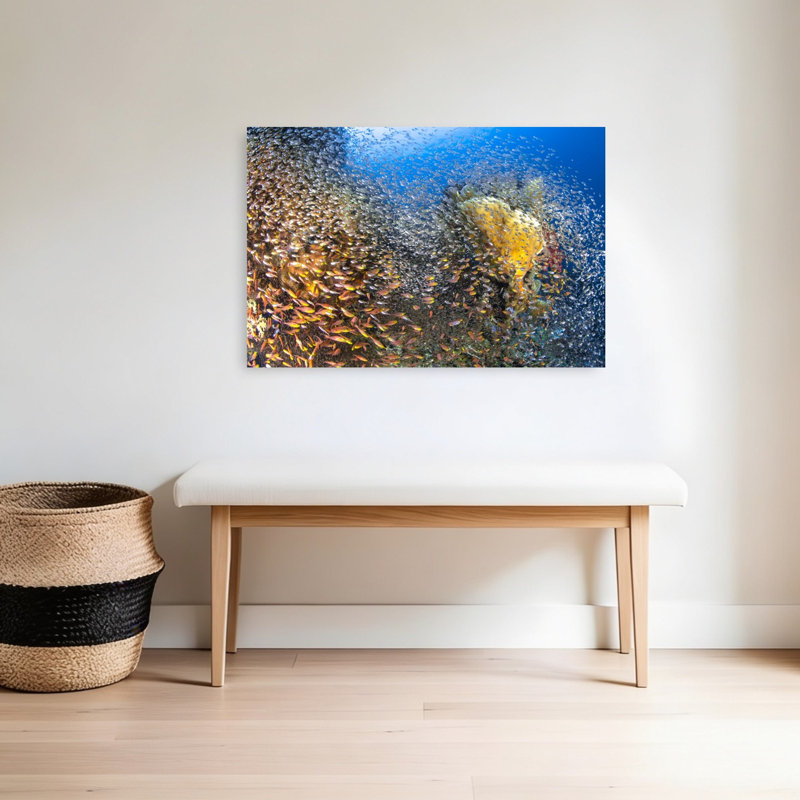 Golden Fish Swarm Colorful Vibrant Fish Nature Ocean Wall Art Print 1 Piece Wrapped Canvas Wall Art, 60.96cm H x 91.44cm W