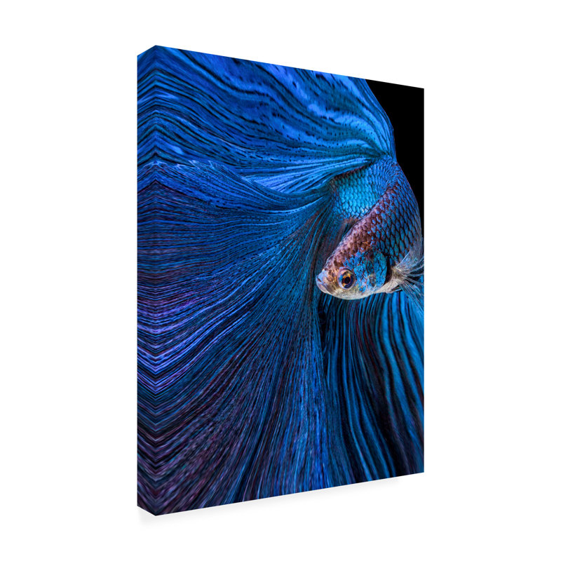 Andi Halil  Blue Moon Canvas Art, L 18 po x H 24 po