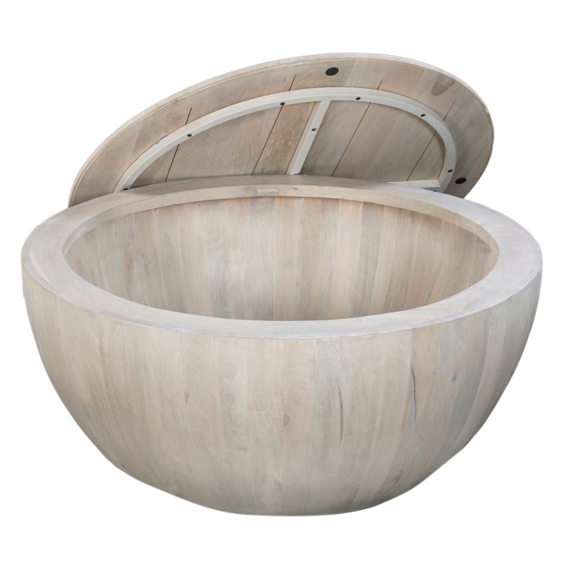 Leong Solid Shape Coffee Table with Storage