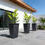 Planter Box