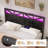 Queen Bed Frame With Headboard, Led Bed Frame With Charging Station, Storage Bed With 2 Wooden Drawers-1028532640-1020760812
