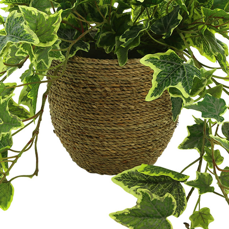Nunn Faux Ivy Plant in Pot, Green/White, 16" H x 29" W x 23" D