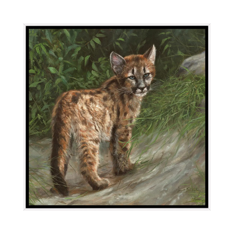 Cougar Cub by Lani Imre - Painting on Canvas, White Framed, 66.04 cm H x 66.04 cm W