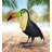 Toucan Decor 14"