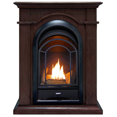 ProCom Dual Fuel Ventless Gas Fireplace System - 10,000 BTU, T-Stat Control