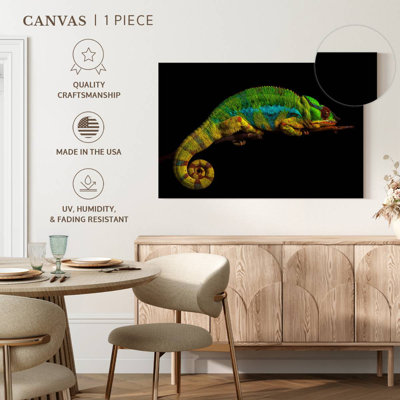 Sleeping Panther Chameleon