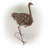 Medon Peaking Ostrich Statue-1464216864