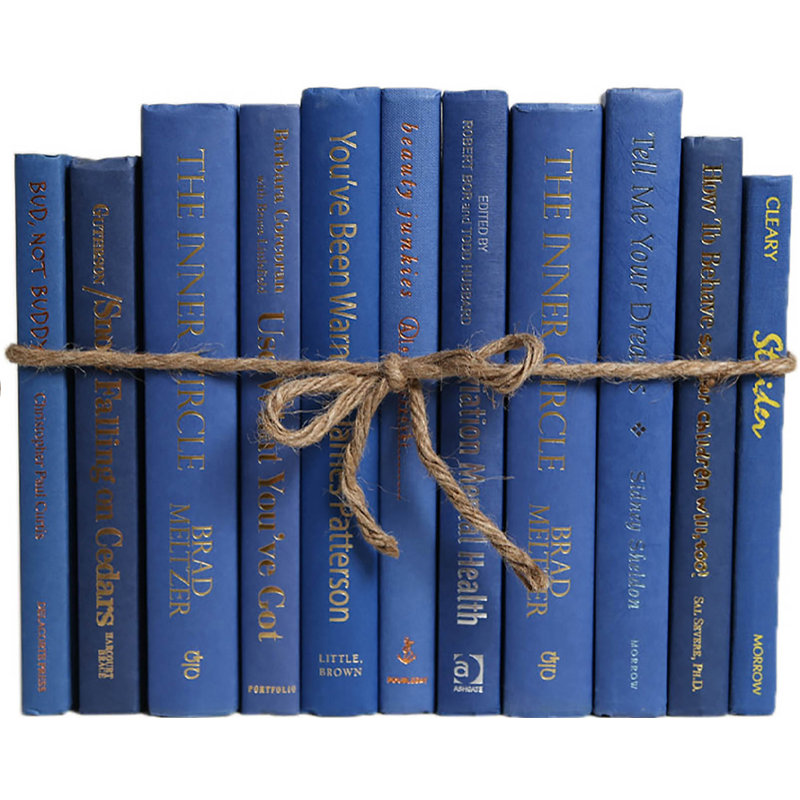 Livres décoratifs - Ensemble de livres Blue Jay - 1 pied de livres bleus