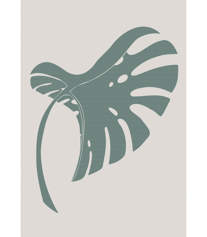 Monstera Bent, 76.2 cm H x 50.8 cm W