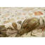 Chantel Floral Area Rug