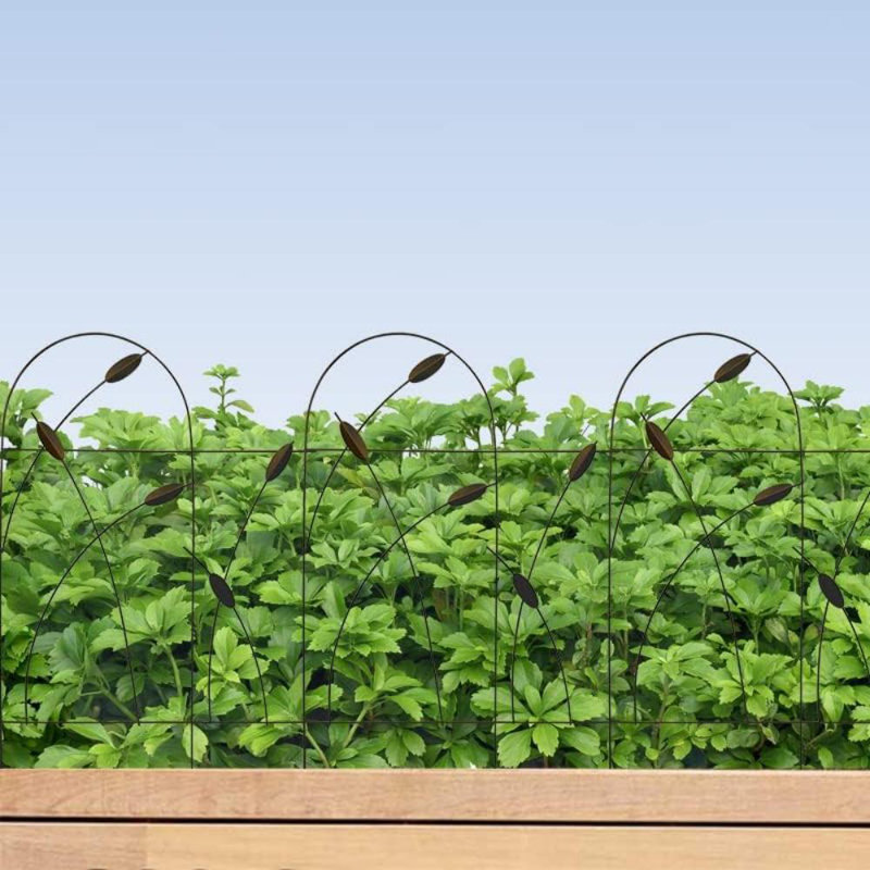 Bordure de clôture de jardin décorative en métal H 32 po x l 19,5 po, 10 panneaux, longueur totale de 16 pi, clôture anti-rouille pour les parterres de fleurs, les arbres et les cours, brun