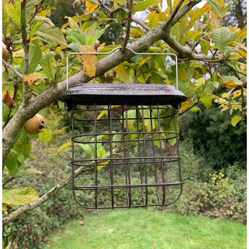 Glenns Suet Bird Feeder
