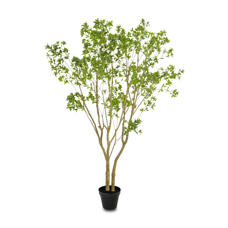 Faux Pieris Tree-Faux Pieris Tree-9.5', 116" H x 92" W