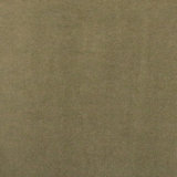 Bowie-Regal Cotton Plain Velvet Upholstery Fabric
