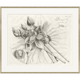 Malaberica Brittanica 4 Giclee Print by Soicher Marin Archives