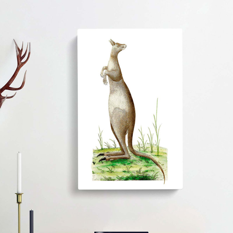 Great Kangaroo by George Shaw - Wrapped Canvas, 50cm H x 35cm W x 3cm D