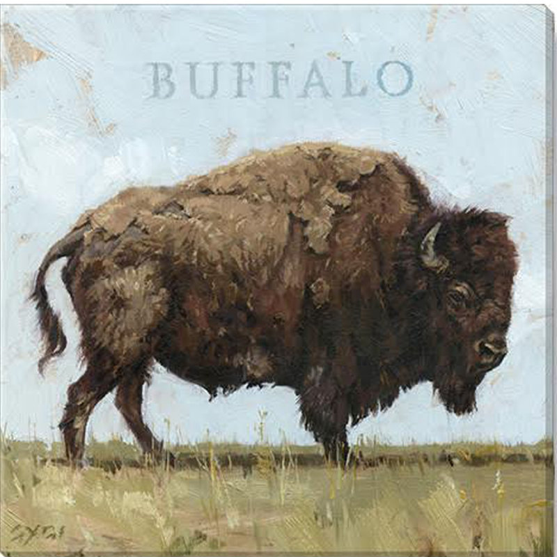 Buffalo, estampe numérique, H 20 po x l 20 po x P 1 po