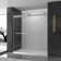 60'' W 76'' H Frameless Rectangle Reversible Shower Stall