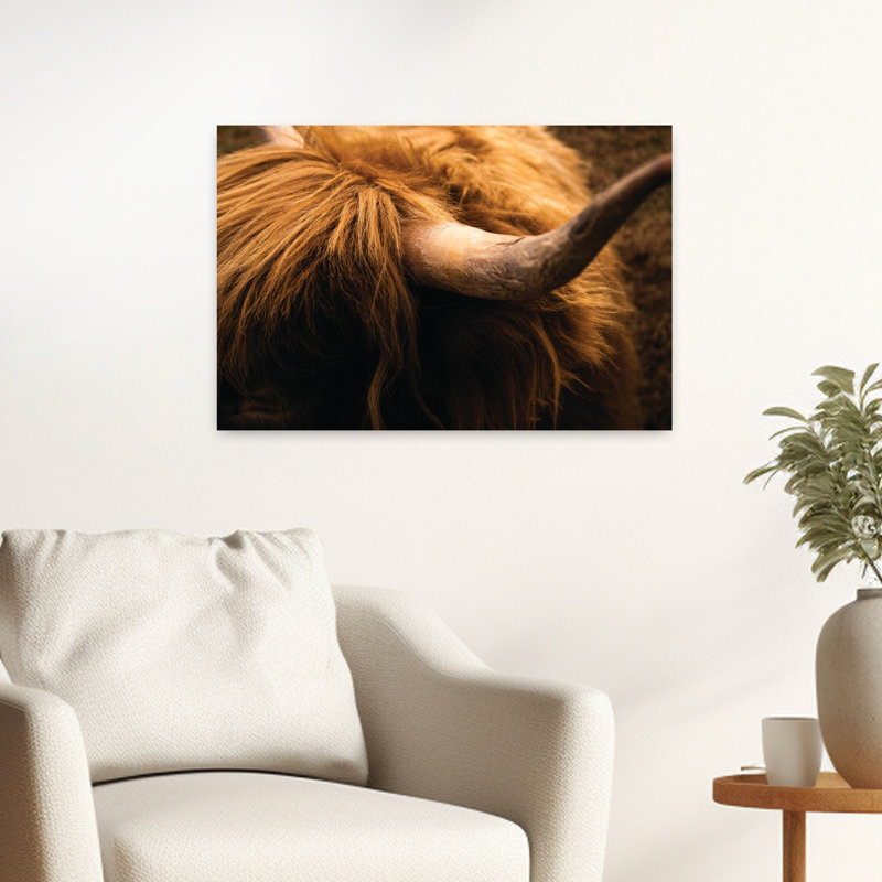 Art contemporain Highland Horn III, H 16 po x l 24 po